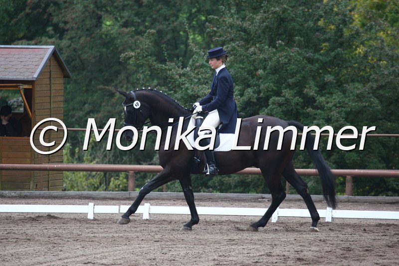 009M9338_Donaugraf_Dressur S_St. Georg.JPG